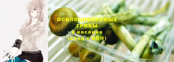 СК Абаза